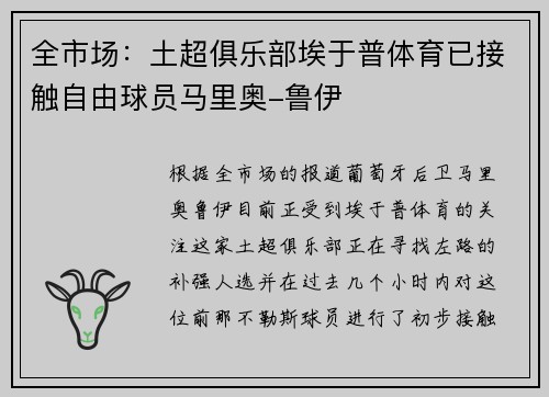 全市场：土超俱乐部埃于普体育已接触自由球员马里奥-鲁伊